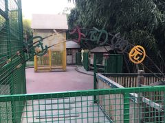 -夏阳湖皇冠假日酒店-自助餐厅