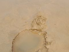 -西秀海滩公园