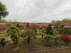 -盈香心动乐园