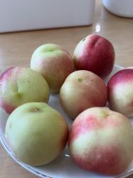 -慈蕊美容养生·专业经络调理