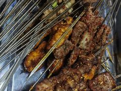 -福苗小骆驼烧烤(莲湖路店)