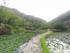-桃花岭景区