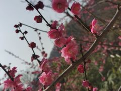 -南山风景名胜区