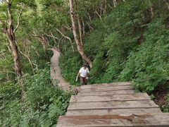 -白草畔自然风景区