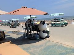 -日照海滨国家森林公园