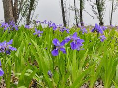 -翠湖国家城市湿地公园