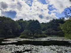 -杭州植物园