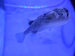 -多彩贵州城极地海洋世界