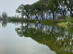 -上海植物园-4号门售票处