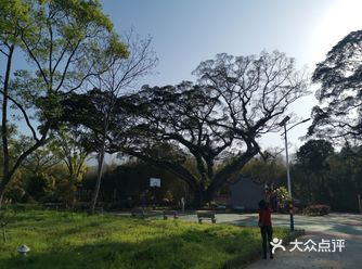 又小溪和大草场，可以放风筝，可以烧烤等等