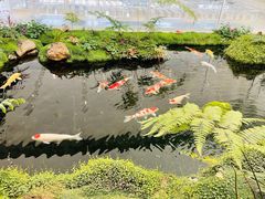 -罗红摄影艺术馆