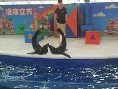 -成都浩海立方海洋公园