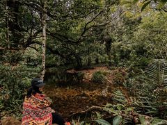 -海南热带雨林国家公园吊罗山景区