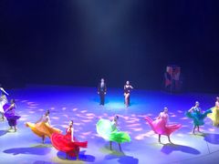 -重庆国际马戏城