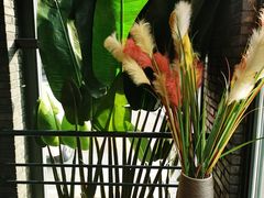 -小椒娘撒椒鱼火锅(三八广场店)