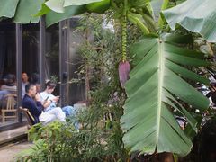 -Metal hands·铁手咖啡