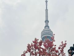 -龟山风景区-龟山电视塔
