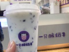 -一只酸奶牛(八一路店)