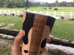 -瑞穗牧场