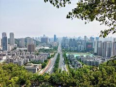 -板樟山森林公园