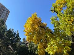 -元大都城垣遗址公园