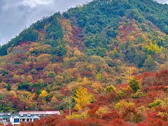 -四明山国家森林公园
