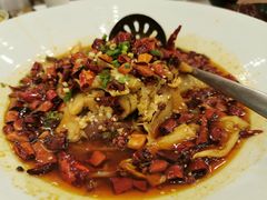-开海·红岛海鲜虾水饺(石老人店)