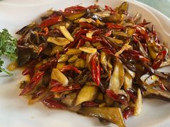 -山菌美食苑(振兴路店)
