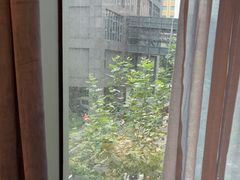 -上海小南国(不夜城店)
