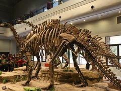 -自贡恐龙博物馆