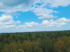 -峡谷浮石林景区