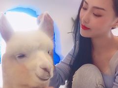 -Blue Concept Cafe&Farm·關於藍