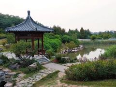 -焦岗湖影视城