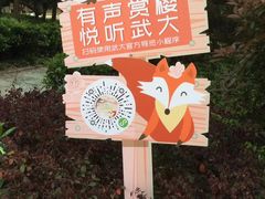 -武汉大学-樱园