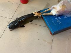 -崔记生活·铁锅炖鱼粘卷子(总店)