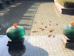 -千岛湖品鱼馆(钓鱼岛店)