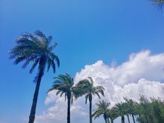 -鹅銮鼻公园