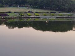 -东莞植物园