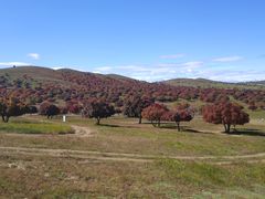 -五角枫生态旅游景区