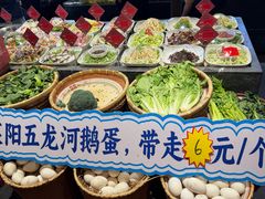 -单家老院·院子里的青岛菜