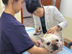 -美联众合动物医院·24h转诊中心
