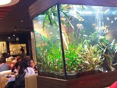 -大家乐(广州中华广场店)