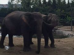 -野生动物园-停车场