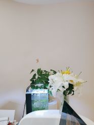 -S&G Beauty轻奢皮肤管理中心