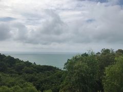-广东惠东海龟国家级自然保护区