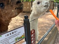 -鄂尔多斯野生动物园