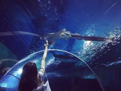 -暹罗海洋世界