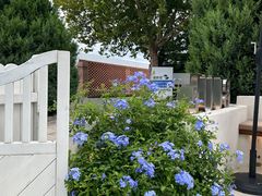 -BLUE HOUSE咖啡