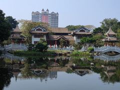 -顺峰山公园