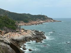 -广东惠东海龟国家级自然保护区